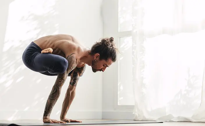 VIVEKA YOGA SHALA, desde su propia web