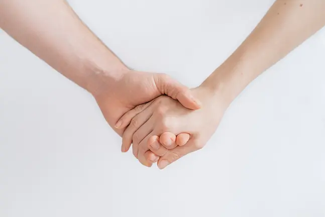 The Bonding Hub, des del seu propi web