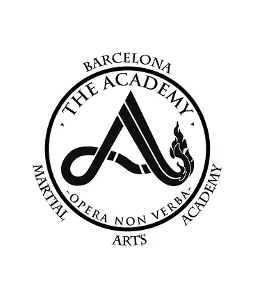 Brazilian Jiu Jitsu Barcelona, desde su propia web