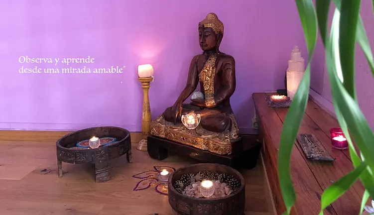 Kaivalya Escuela de Yoga, desde su propia web