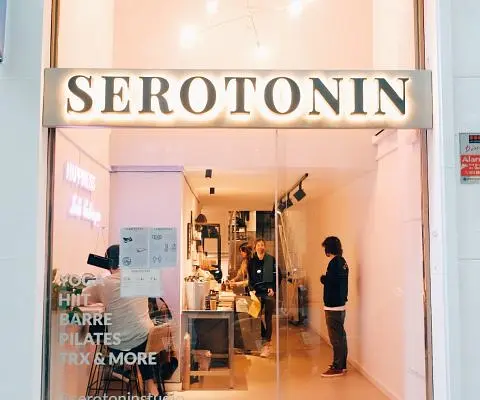 Serotonin Studio, des del seu propi web