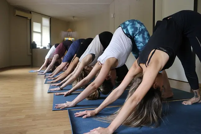 Yoga Mandir, des del seu propi web