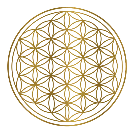 Mandala Yoga Barcelona, des del seu propi web